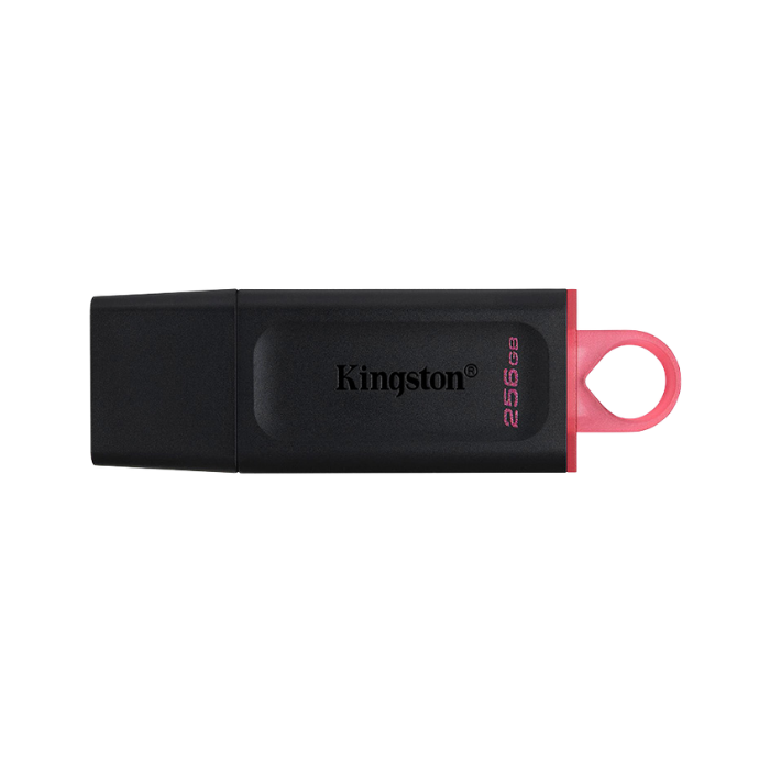 Memoria USB 3.2 Gen 1 Kingston DataTraveler Exodia 256GB negro y rojo